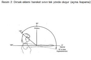 dirsek-cerrah