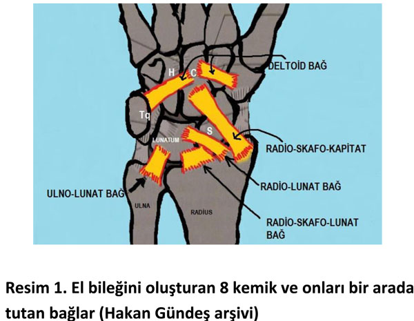 el-bilek-a-r-s-instabilite-1
